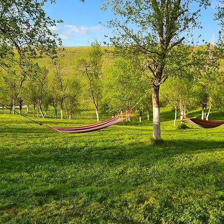 Salas U Bregu In Cheile Carasului Crasova Exterior photo