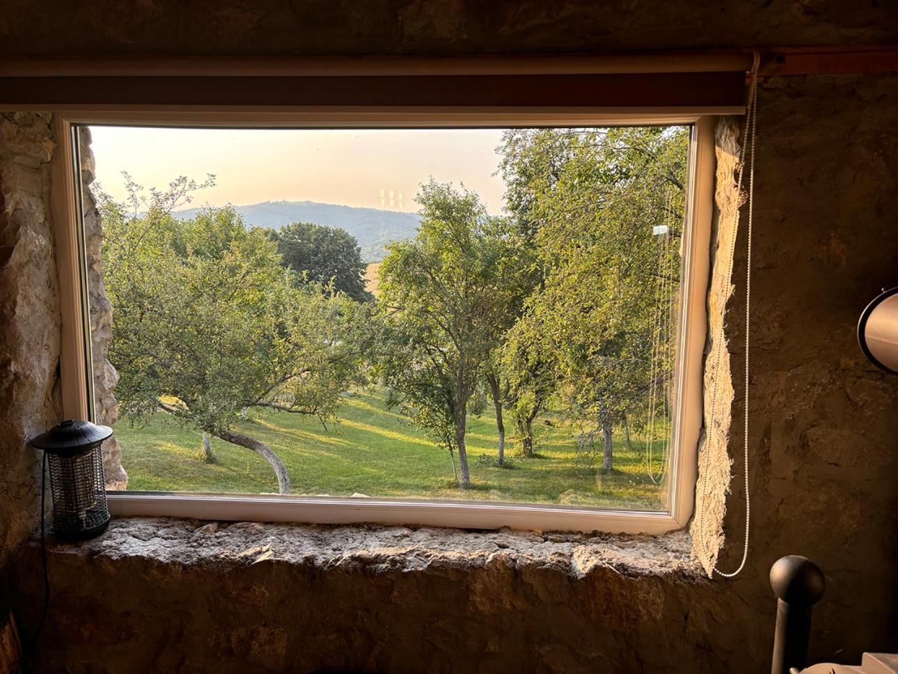 Salas U Bregu In Cheile Carasului Ferienhaus *